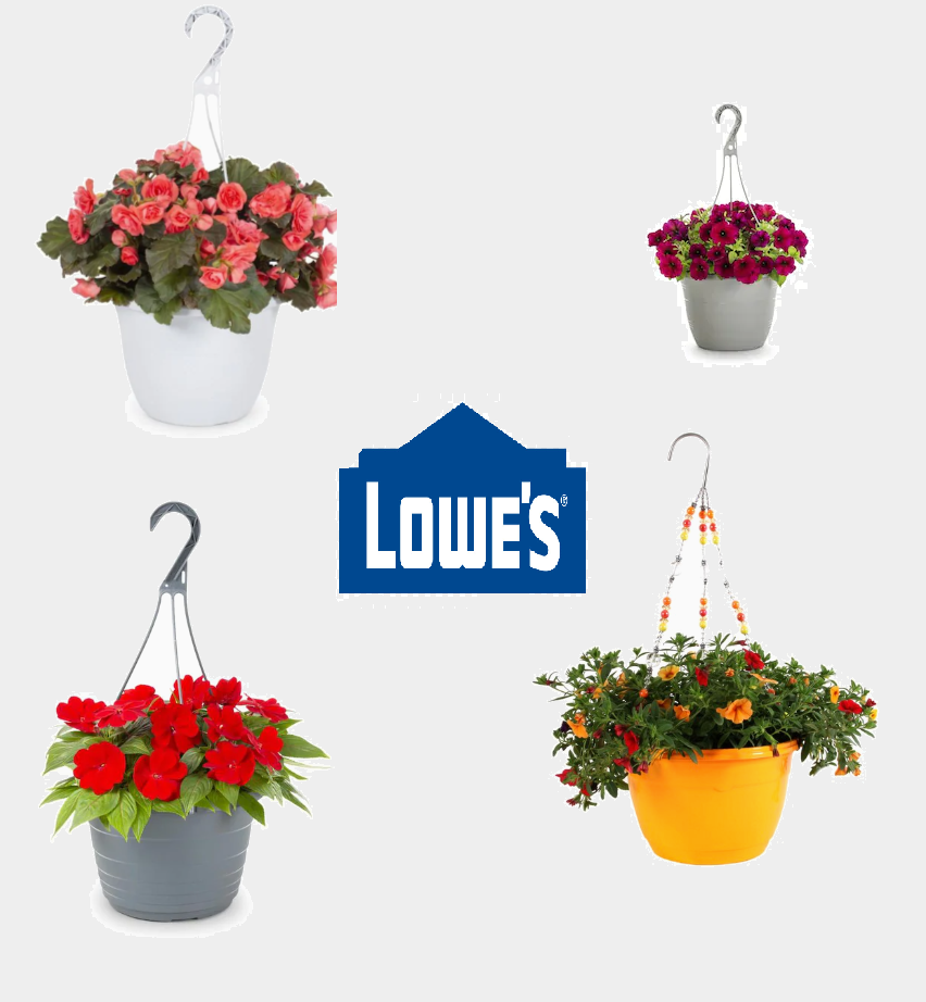 30% Off Hanging Baskets at Lowe’s | Easy Mother’s Day Gift