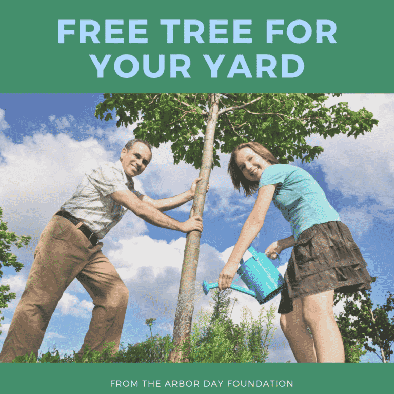 Free Tree For Your Yard from the Arbor Day Foundation
