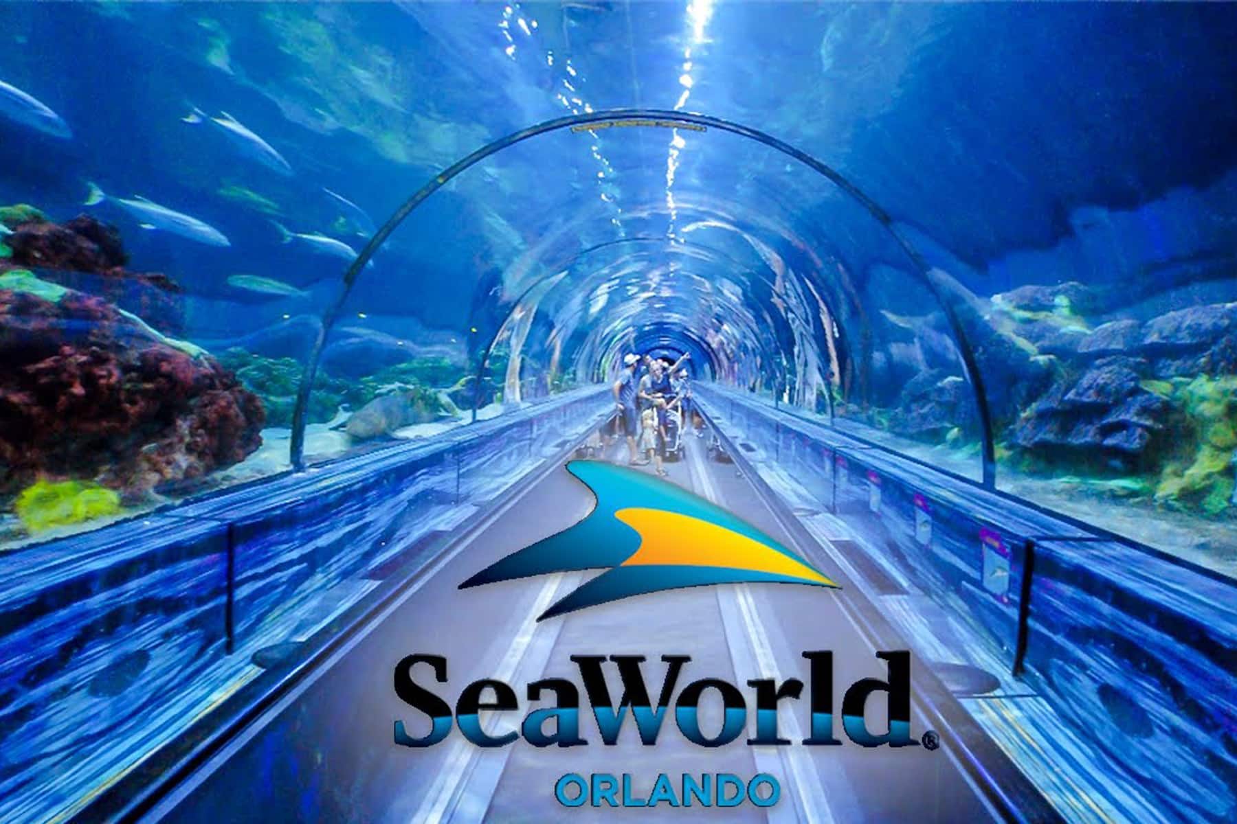 Orlando, Florida, USA – February 9, 2022:  A Walt Disney World a