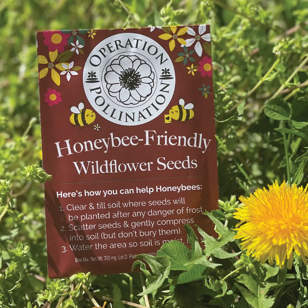 freewildflower-seeds