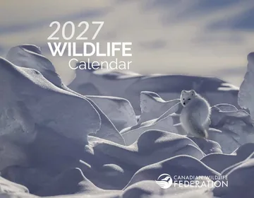 Canadian Wildlife Calendar calendar preview