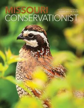 Missouri Conservationist October 2026 magazine cover